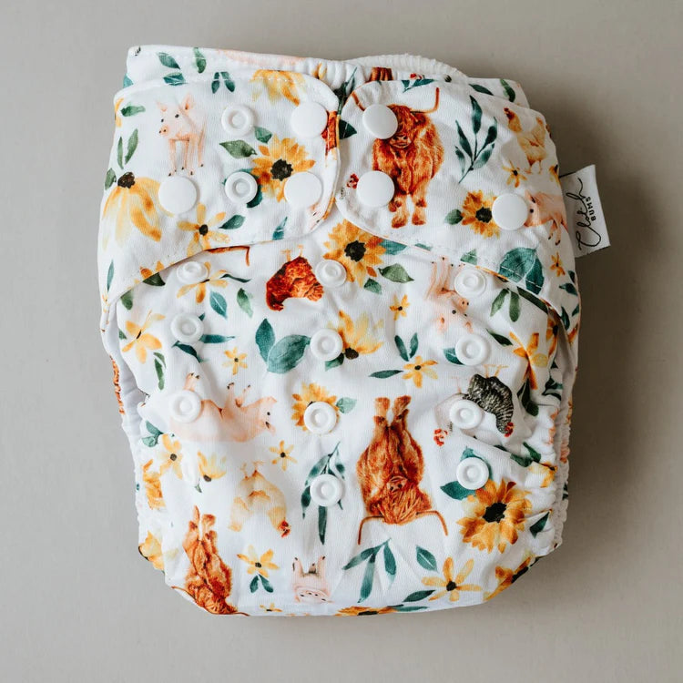 Cloth Bums Pixie Nappy with Hemp Duo